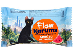 Sladký tvaroh v cokoláde s melounem 45g KARUMS