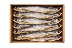 Čehon s hlavou vykuchaný sušený