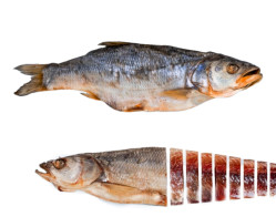 Žerech sušená ryba