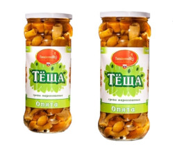Nakládané houby s česnekem 315g