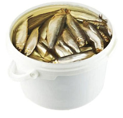 ŠPROTY v marinadě cca 200g
