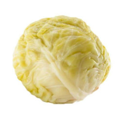 Kysané zelí na závitky 3kg Murata (hlávka)