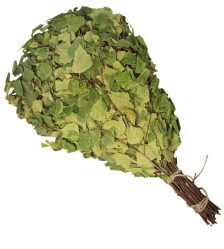 Březový venik 55-60cm