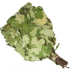 Dubový venik 55-60cm