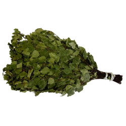 Březový venik dlja bani