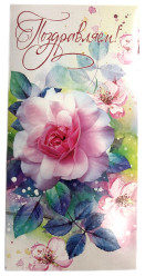 Dárková obalka na peníze Mix