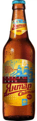 Světlé pivo 0,5l, 4,2% Jantar