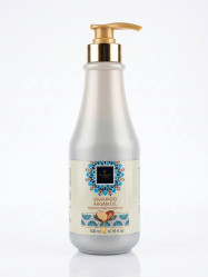 Famirel Šampon na vlasy s arganovým olejem Argan Oil, 500 ml