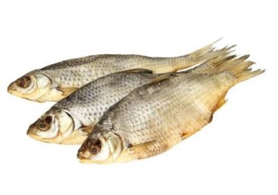 Gustera sušená