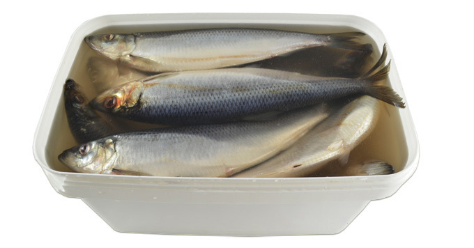 detail Sleď ve slaném nálevu kbelík (čistá hmotnost 7,5kg) Mooijer