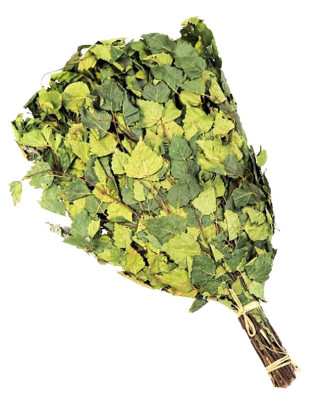 Březový venik s pelyňkem 55-60cm