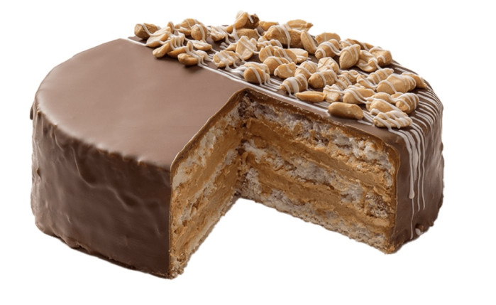detail Dort Kiev Sváteční 450g Tarta