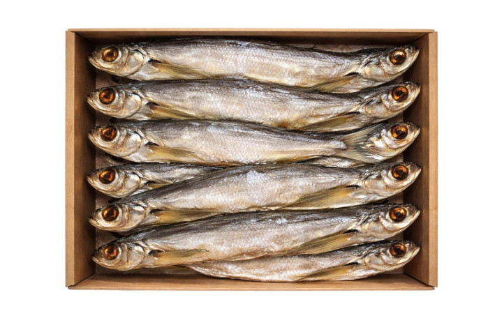 detail Čehon s hlavou vykuchaný sušený