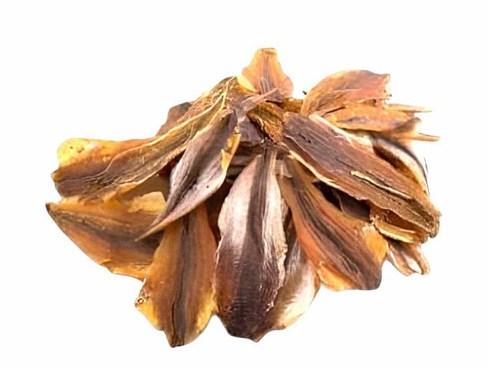 detail Snack ze sušené korjušky MSDM