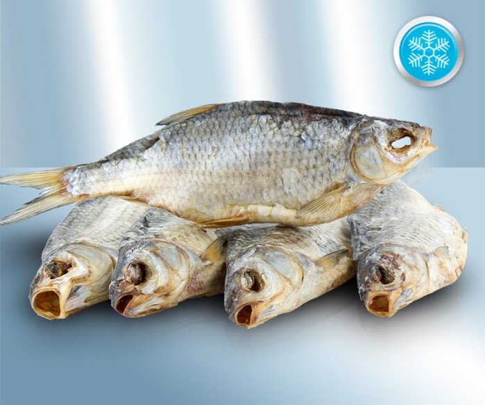 detail Plotice s hlavou vykuchaná