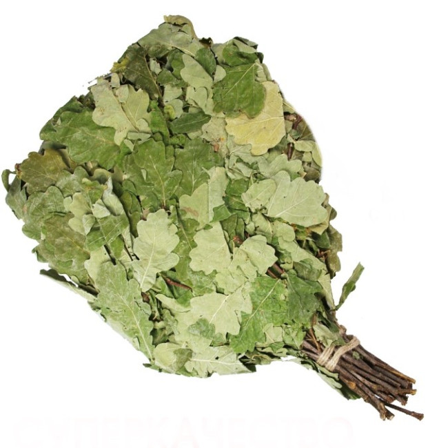 detail Dubový venik 55-60cm