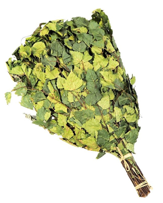 detail Březový venik s pelyňkem 55-60cm