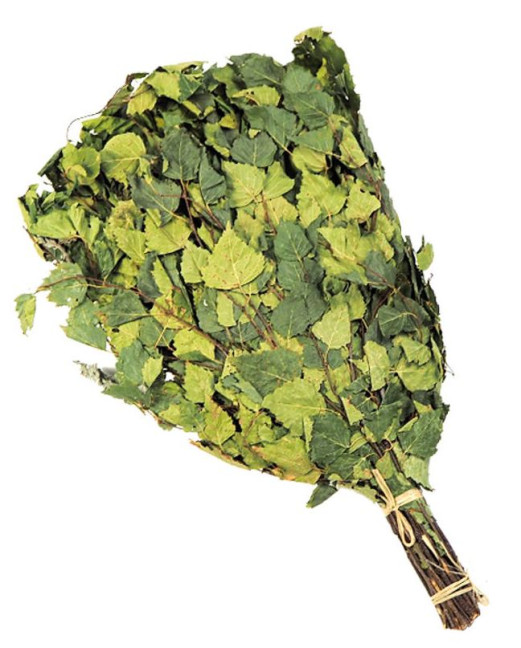 detail Březový venik s mátou 55-60cm