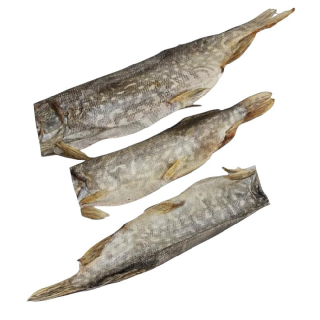 detail Štika vykuchaná bez hlavy