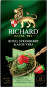 náhled Čaj Royal Strawberry & Aloe Vera 25×1,5g Richard
