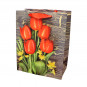 náhled Dárková taška tulipány 23*18cm