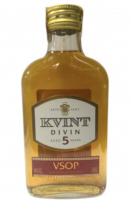 Brandy Kvint Divin 5 let VSOP 0,2L Ak.40%